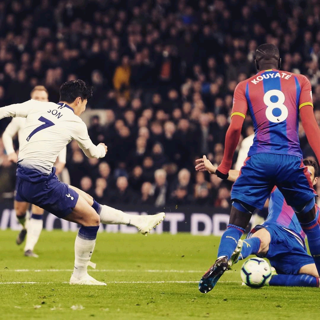 而应成为一 而应成为一