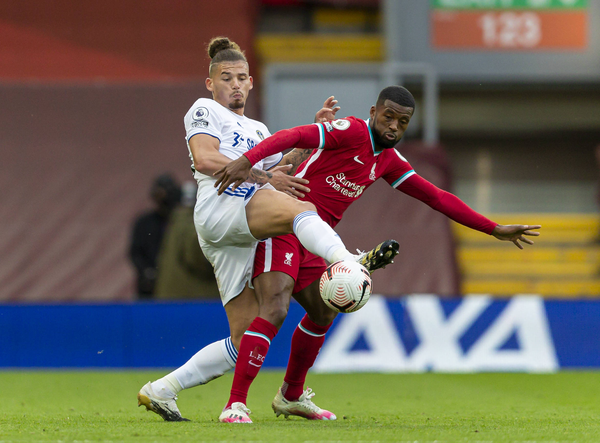 他具备了丰 他具备了丰