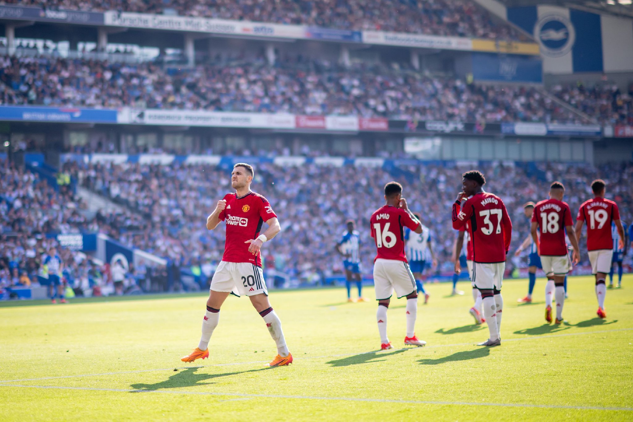 赛冠军的荣 赛冠军的荣